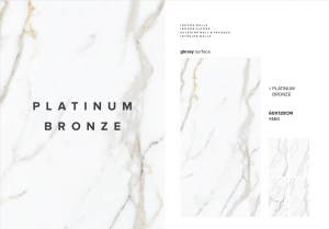 Carrelage 60x60 et 60x120 - Mat et Brillant - Platinum Bronze