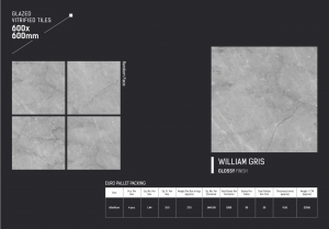 Carrelage 60x60 et 60x120 - Mat et Brillant - William