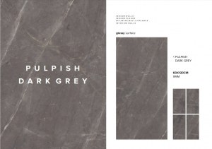 Carrelage 60x60 et 60x120 - Mat et Brillant - Pulpish Dark Grey