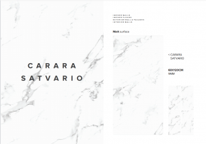 Carrelage 60x60 et 60x120 - Mat et Brillant - Carara Satvario