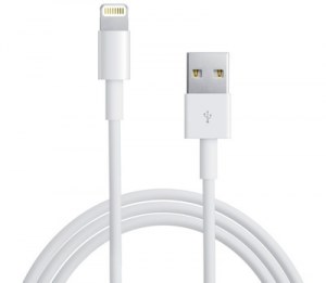 Cable USB pour iphone 5/5S Neuf 500Pcs