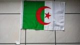 Drapeau de voiture Algerie - 30 x 40 cm