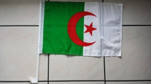 Drapeau de voiture Algerie - 30 x 40 cm