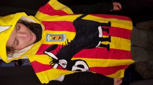 Vend lot de 55 serviettes de plage