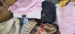 Palette de 600 accessoires hiver