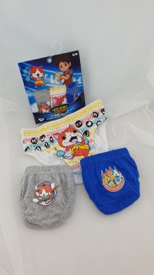 040010 Slips pour garçons Disney