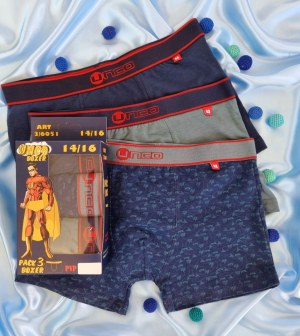 040008 Boxer pour les garçons