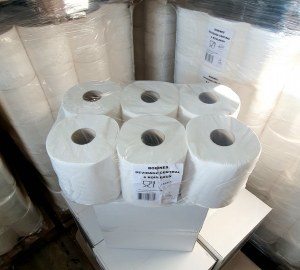 ESSUIE MAINS 450 FORMAT EN BOBINE