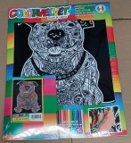 Coloriage sur velours pour petits et grands