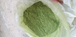 ملوخية mloukhya