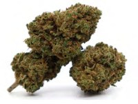 CBD Fleurs par 500 G