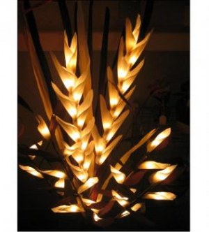 Lots Fleurs Lumière