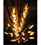 Lots Fleurs Lumière