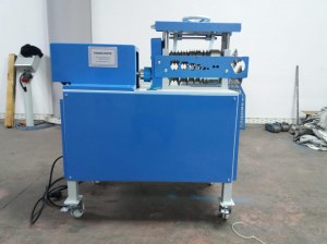 DENUDEUSE PROFESSIONNELLE