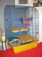 Cage pour rongeurs