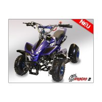QUAD DRAGON 49CC