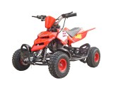 QUAD 49CC RAPTOR LIVRAISON OFFERTE !