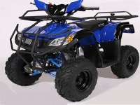 QUAD 125CC B.M PNEUS 7" LIVRAISON OFFERTE !