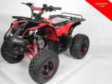 QUAD 125CC BIG HUMMER 8" AVEC VITESSE LIVRAISON OFFERTE !