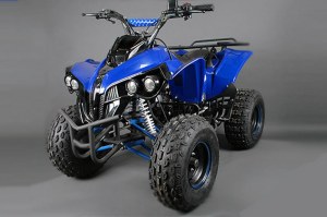 QUAD 125CC DEMON 8" AVEC VITESSE LIVRAISON OFFERTE !