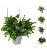 Plante en pot rond à suspendre - blanc