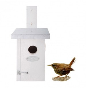 Nichoir roitelet - blanc - bois