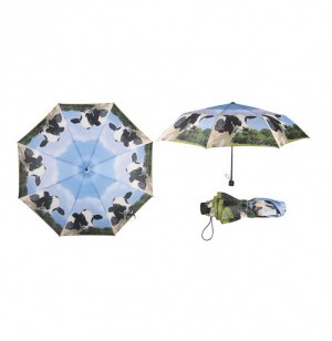 Parapluie - vache