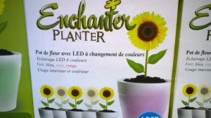 25 Pots de Pleur avec LED à changement de couleurs