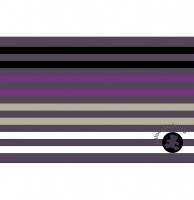 Set de table - 28,5 x 44 cm - pvc - lulu castagnette - trendy