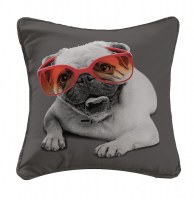 Housse de coussin - 40 x 40 cm - doggy glasses