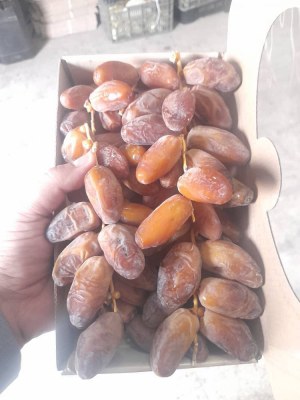 Dattes Algériennes de première qualité , En branches et ardjoune (Régimes)