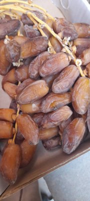 Dattes Algériennes de première qualité , En branches et ardjoune (Régimes)