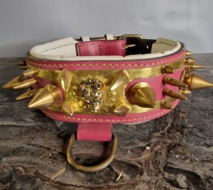 Aliment et accessoire pour animaux domestiques