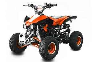 Quad 125cc Panthera automatique Livraison offerte