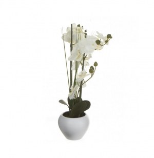 Orchidée et vase en céramique - 50 x 28 x 53 cm - blanc