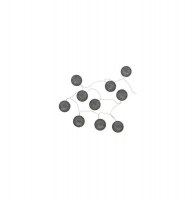 Guirlande 10 boules led - 165 x d 6 cm - noir