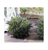 Boule de buis avec lavande - d 22 cm - plante artificielle