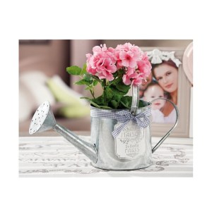 Arrosoir - etain - accessoire de jardin