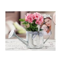 Arrosoir - etain - accessoire de jardin