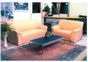 LOT DE CANAPES DIRECT FABRICANT