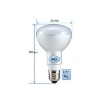 Ampoule LED de type E27