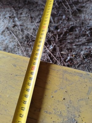 Transpalette manuel double fourche LITTLE MULE 2,5 tonnes