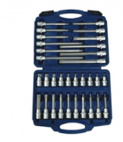 Set, Coffret à Outils, Boîte 32 Pièces Jeu de Clé à Douille Embouts Torx