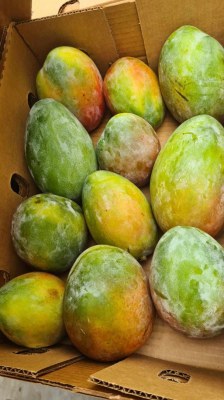 Fruit&Légume Exotique vente en gros palette caisse de 4 a 6kg RPD