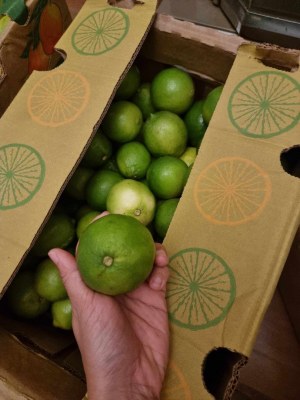 Fruit&Légume Exotique vente en gros palette caisse de 4 a 6kg RPD