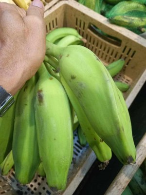 Fruit&Légume Exotique vente en gros palette caisse de 4 a 6kg RPD