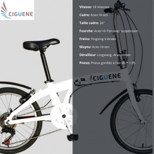 Vente en gros de cinq modèles différents de vélos (à partir 199 euros par vélo pour lot minimal...)