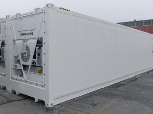 Vente de Conteneur réfrigéré 40ft hc Thermo King de Bj2004