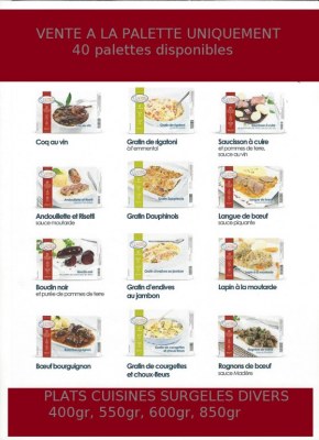 PLATS CUISINES SURGELES