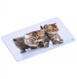 Planche à découper en mélamine - motifs chats - ustensiles de déco